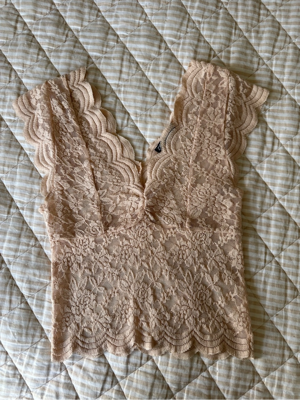 Zara Lace Scallop V-Neck Crop Top in Nude